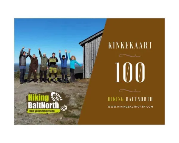 Kinkekaart 100