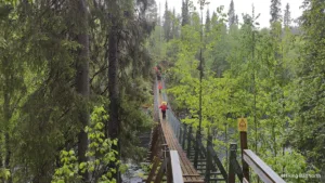 Kevadine seljakotimatk Karhunkierrose rajal Põhja-Soomes