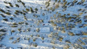 Suusamatk Luirojärvele Urho Kekkoneni rahvuspargis