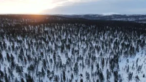Suusamatk Luirojärvele Urho Kekkoneni rahvuspargis