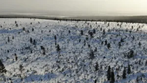 Suusamatk Luirojärvele Urho Kekkoneni rahvuspargis