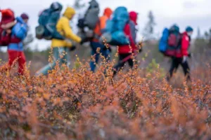 Suusamatk Luirojärvele Urho Kekkoneni rahvuspargis