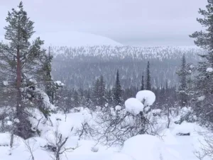 Suusamatk Luirojärvele Urho Kekkoneni rahvuspargis