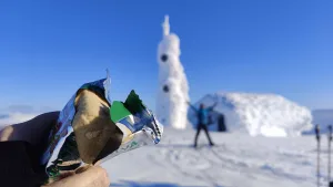 Suusamatk Luirojärvele Urho Kekkoneni rahvuspargis