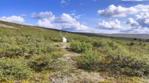 Seljakotimatk Urho Kekkoneni rahvuspargis