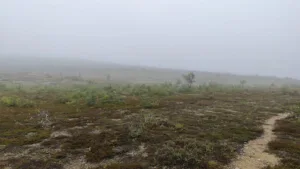 Seljakotimatk Urho Kekkoneni rahvuspargis