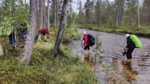Seljakotimatk Urho Kekkoneni rahvuspargis