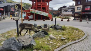 Seljakotimatk Urho Kekkoneni rahvuspargis