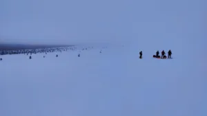Suusamatk Luirojärvele Urho Kekkoneni rahvuspargis