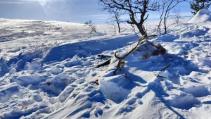 Suusamatk Luirojärvele Urho Kekkoneni rahvuspargis