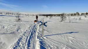 Suusamatk Luirojärvele Urho Kekkoneni rahvuspargis