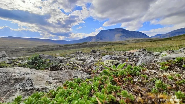 Off-road seljakotimatk Sareki rahvuspargis, Rootsi Lapimaa