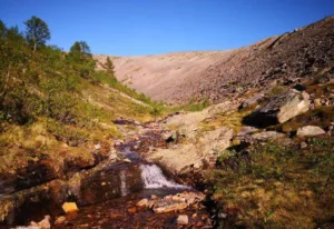 Seljakotimatk Urho Kekkoneni rahvuspargis