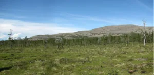 Seljakotimatk Urho Kekkoneni rahvuspargis