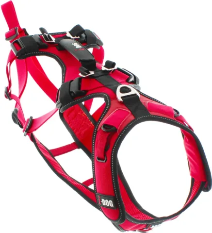 I-Dog koerarakmed Comfort Trek