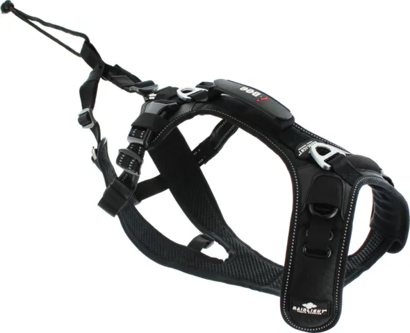 I-Dog tõmberakmed RAIDLIGHT