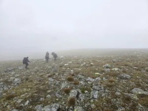 Off-road seljakotimatk Sareki rahvuspargis, Rootsi Lapimaa