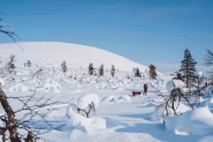 Suusamatk Luirojärvele Urho Kekkoneni rahvuspargis